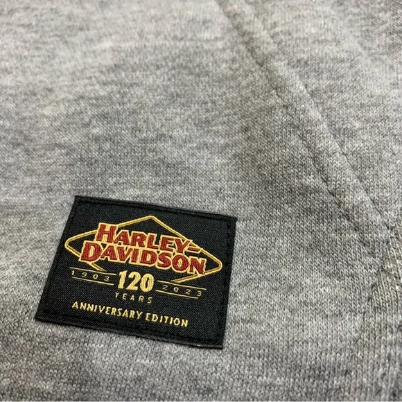 Harley-Davidson Men's 120th Anniversary Zip-Up Hoodie - Heather Gray 96521-23VM - Picture 9 of 11